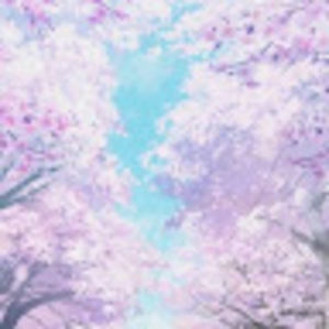 Meet your Posher, Carly